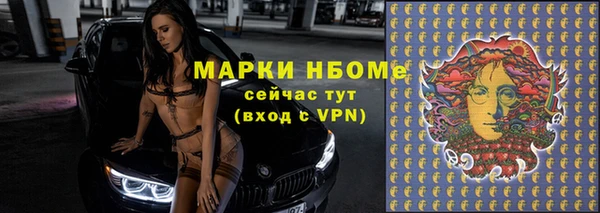 ПСИЛОЦИБИНОВЫЕ ГРИБЫ Михайлов