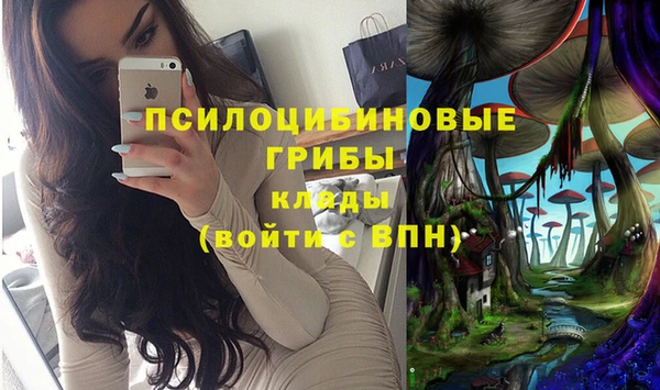 первитин Абинск