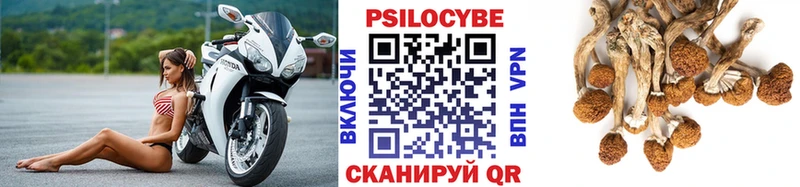 Галлюциногенные грибы GOLDEN TEACHER  OMG зеркало  Благовещенск 